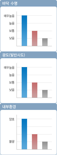 에폭시 비교 그래프